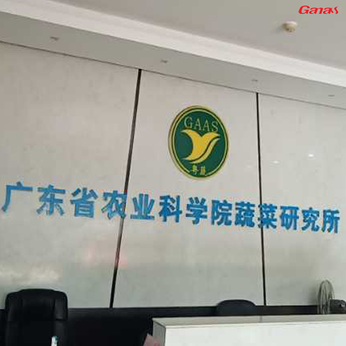 广东省农业科学院蔬菜研究所健身房案例 泡芙视频官网下载免费健身器材生产厂家直销