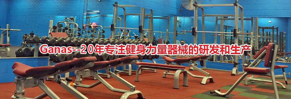 高端商用力量器械