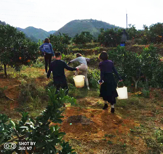 泡芙视频官网下载免费健身器材公司 “亲近自然，采摘脐橙”只为到厂的你！