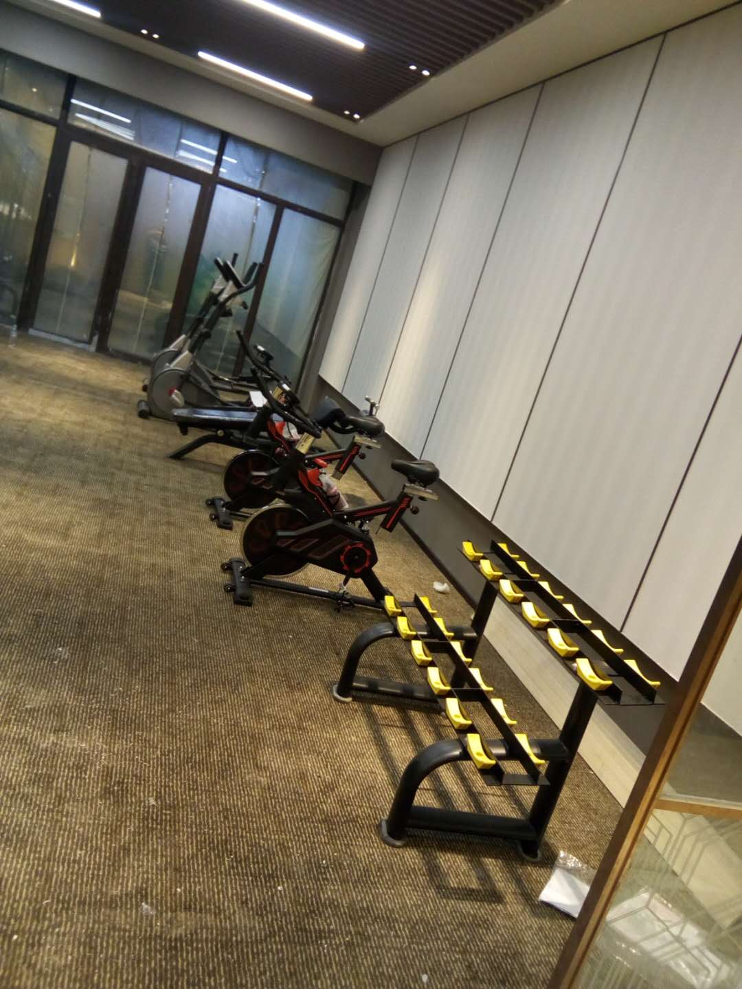 山东枣庄市中碧桂园健身房案例 泡芙视频官网下载免费健身器械批发